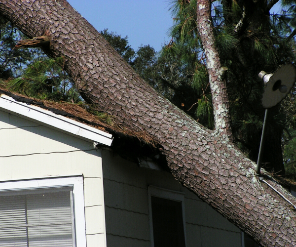 tornado-damage