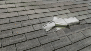 Roof Damage Blog